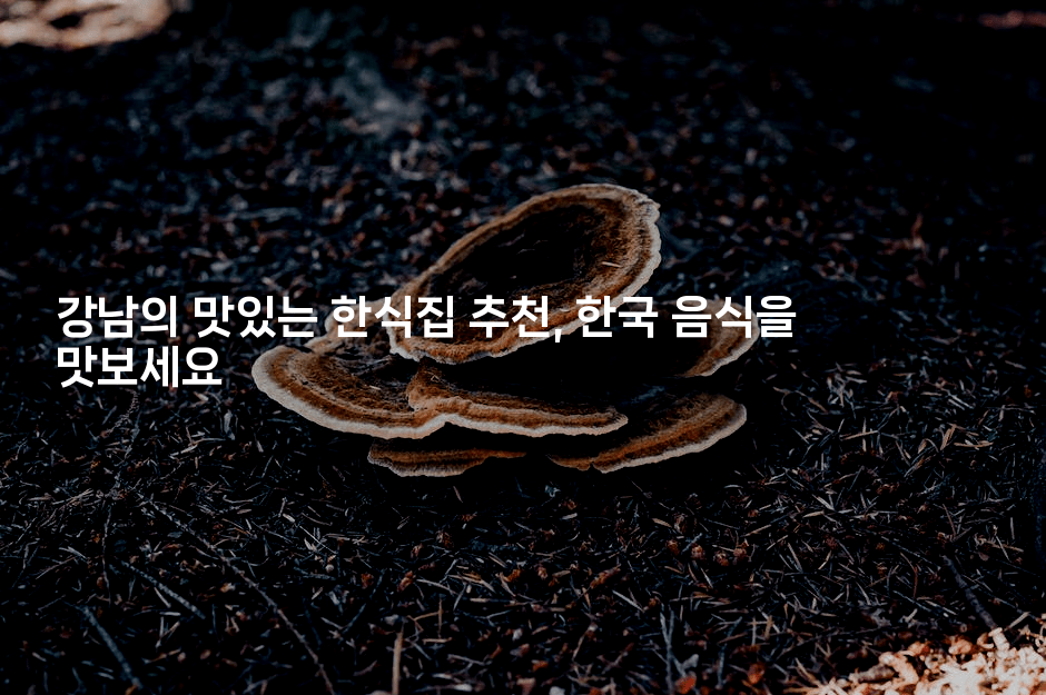 강남의 맛있는 한식집 추천, 한국 음식을 맛보세요
2-맛닥