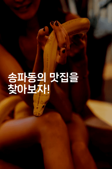 송파동의 맛집을 찾아보자! -맛닥