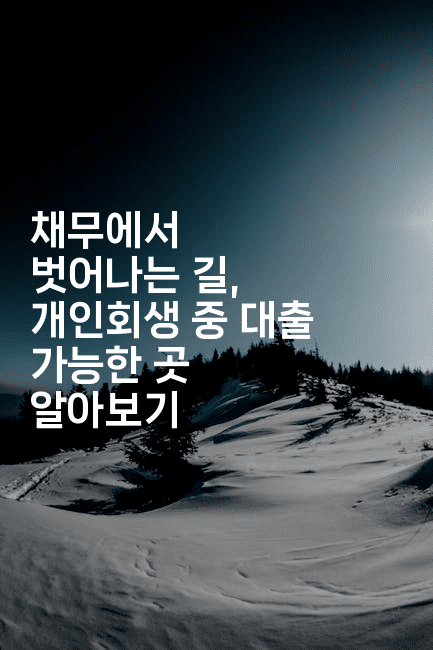 채무에서 벗어나는 길, 개인회생 중 대출 가능한 곳 알아보기-맛닥