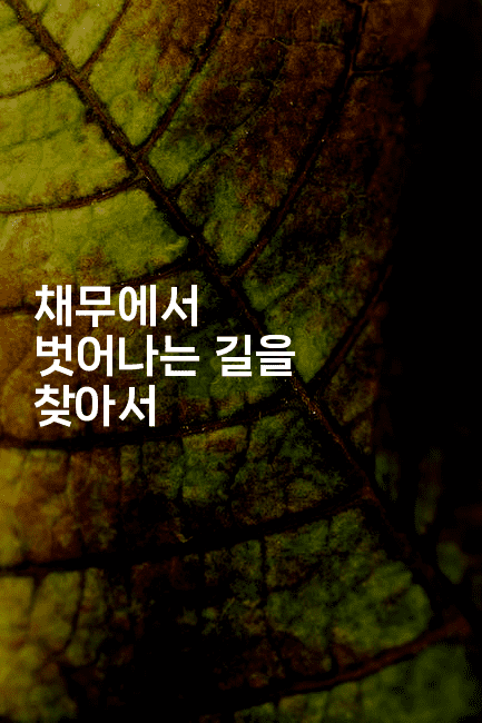 채무에서 벗어나는 길을 찾아서-맛닥