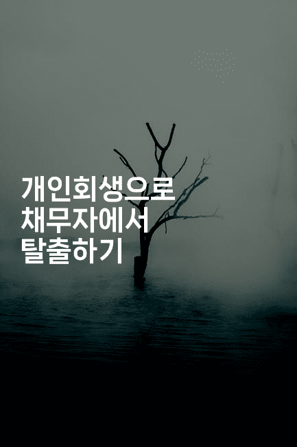 개인회생으로 채무자에서 탈출하기-맛닥