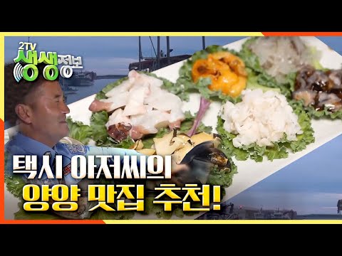 택시 아저씨의 양양 맛집 추천!