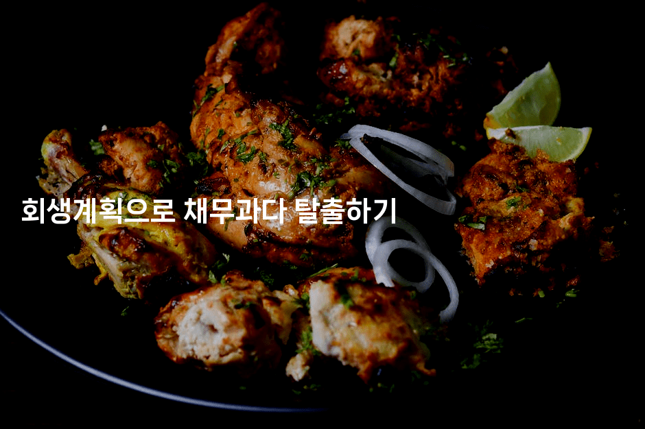 회생계획으로 채무과다 탈출하기-맛닥