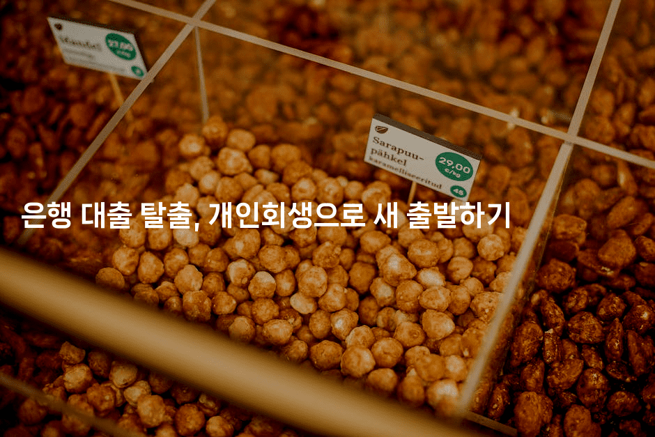 은행 대출 탈출, 개인회생으로 새 출발하기-맛닥