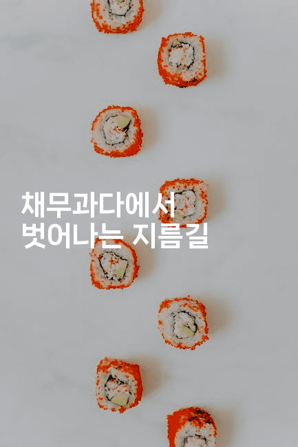 채무과다에서 벗어나는 지름길-맛닥