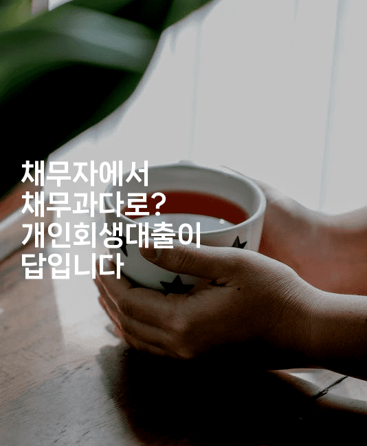 채무자에서 채무과다로? 개인회생대출이 답입니다-맛닥